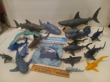 Shark infested listing for sale  Kingman