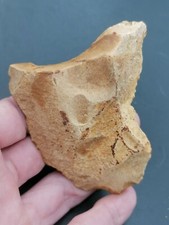 Neanderthal middle paleolithic d'occasion  Bonneville