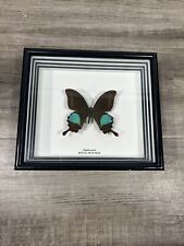 Vintage framed peacock for sale  Johnstown
