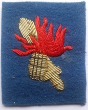 distintivo genio usato  Italia