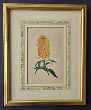 Antique hand colored for sale  Womelsdorf
