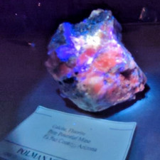 minerale fluorescente usato minerale fluorescente usato San Severino Marche