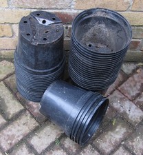 Used litre strong for sale Used litre strong for sale  GILLINGHAM