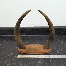 Ww1 ww2 york for sale  KEIGHLEY