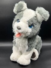Furreal friends hund gebraucht kaufen  Riedbach