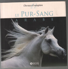 Chevaux exception pur d'occasion  L'Isle-sur-la-Sorgue