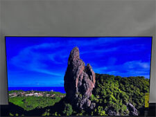Sony oled bravia for sale  Willoughby