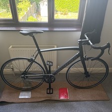 langster for sale langster for sale STAFFORD