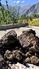 Shilajit persönlich bezogen gebraucht kaufen  Versand nach Germany