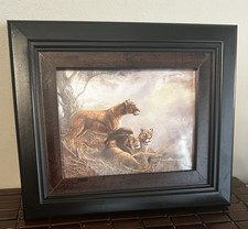 Regal safari lions for sale  Alabaster