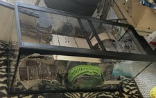 Nagarium zubehör länge gebraucht kaufen  Worms