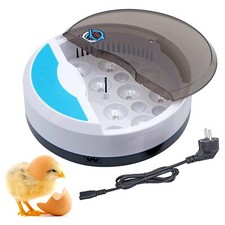 Mini oeufs incubateur d'occasion  Lyon I