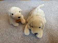 Andrex puppy soft for sale  COALVILLE