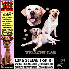 Beautiful yellow lab for sale  Bunnell