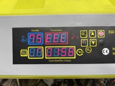 Egg practical fully for sale  Cowen
