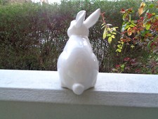 Weißer porzellan hase gebraucht kaufen  Würzburg