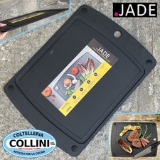 Jade tagliere professionale usato  Busto Arsizio
