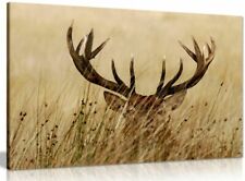 Stag grass animals for sale  LONDON