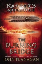 Burning bridge paperback for sale  Montgomery