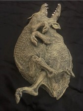 Freak mutant piglet for sale  Cumberland