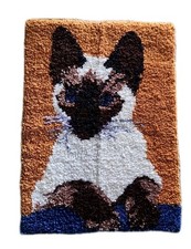 shag area red nwt rug for sale  Ruskin