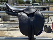 Wow dmk jumping for sale  Morgan Hill