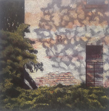 Oliviero masi rara usato  Palagiano