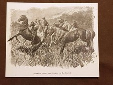 Giuseppe garibaldi viaggia usato  Villarosa