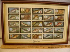 Framed matted wills for sale  Steilacoom