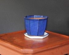 Bonsai ceramic round for sale Bonsai ceramic round for sale  ELY