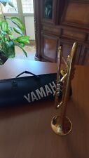 Tromba yamaha usato  Villarosa