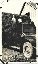 old farm truck for sale old farm truck for sale Clovis