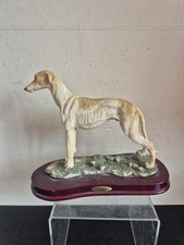 Juliana collection greyhound for sale  CRAWLEY