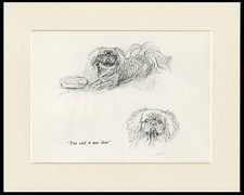 Pekingese charming old usato  Spedire a Italy