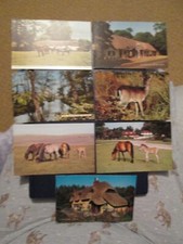 Postcards new forest for sale  MABLETHORPE