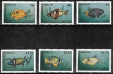 Antigua 1997 fish for sale  Brooklyn