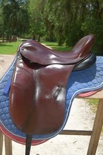 Albion dressage saddle for sale  Midway
