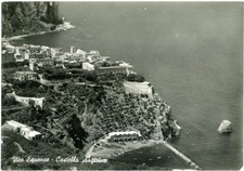 pelliccia visone napoli usato  Treviso