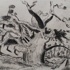 Richard seewald waldstück gebraucht kaufen  Berlin
