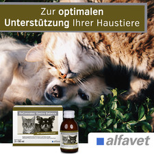 Reconvales gastro balance gebraucht kaufen  Alveslohe