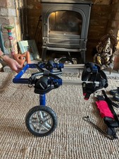 dog wheelchair for sale dog wheelchair for sale BRIGG
