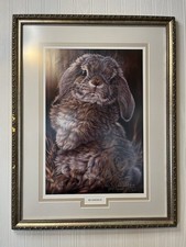 Vivi crandall framed for sale  Marion