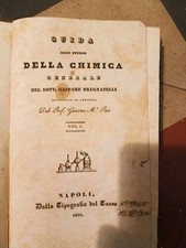 Brugnatelli guida studio usato  Italia