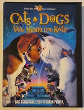 Cats dogs schicksal gebraucht kaufen  Emmingen-Liptingen