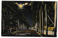 Usado, Cartão postal ROYAL PALM Trees AVENUE BY MOONLIGHT em TROPICAL Flórida FL linho 1957 comprar usado  Enviando para Brazil