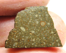 Nwa 16821 carbonaceous for sale  Hebron