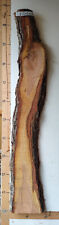 Zwetschge 28mm dicke gebraucht kaufen  Waldkirchen