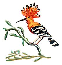 David gerstein hoopoe gebraucht kaufen  Deutschland