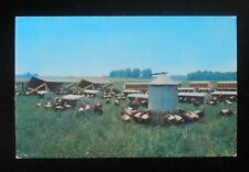 1950s taylored turkey for sale  Reading