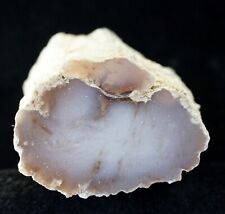 texas petrified wood for sale texas petrified wood for sale Creston